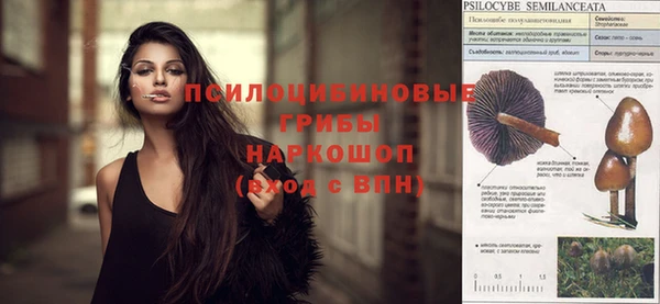 ешки Ветлуга