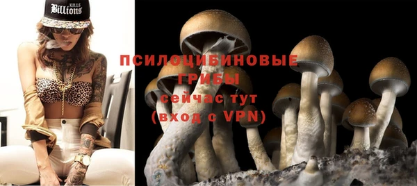 спиды Нефтекумск