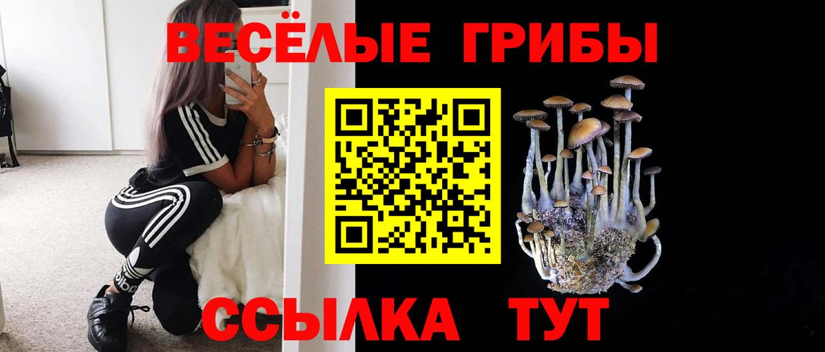 Псилоцибиновые грибы Psilocybine cubensis  Галлюциногенные грибы Psilocybine cubensis  Сатка  Вход с VPN 